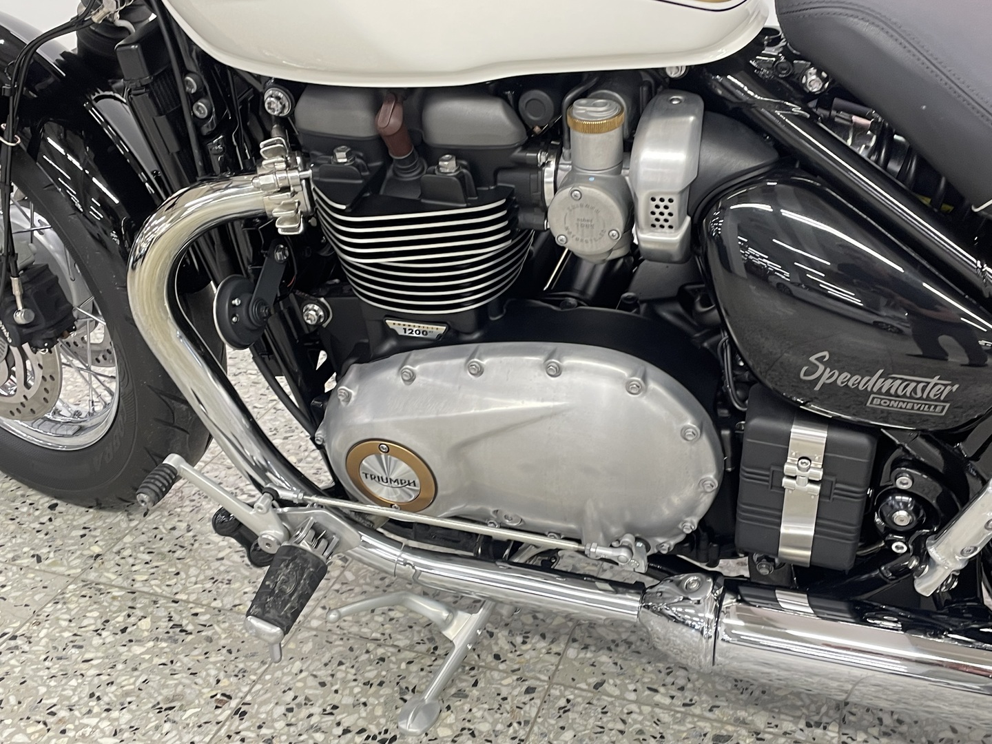 TRIUMPH SPEEDMASTER 2022