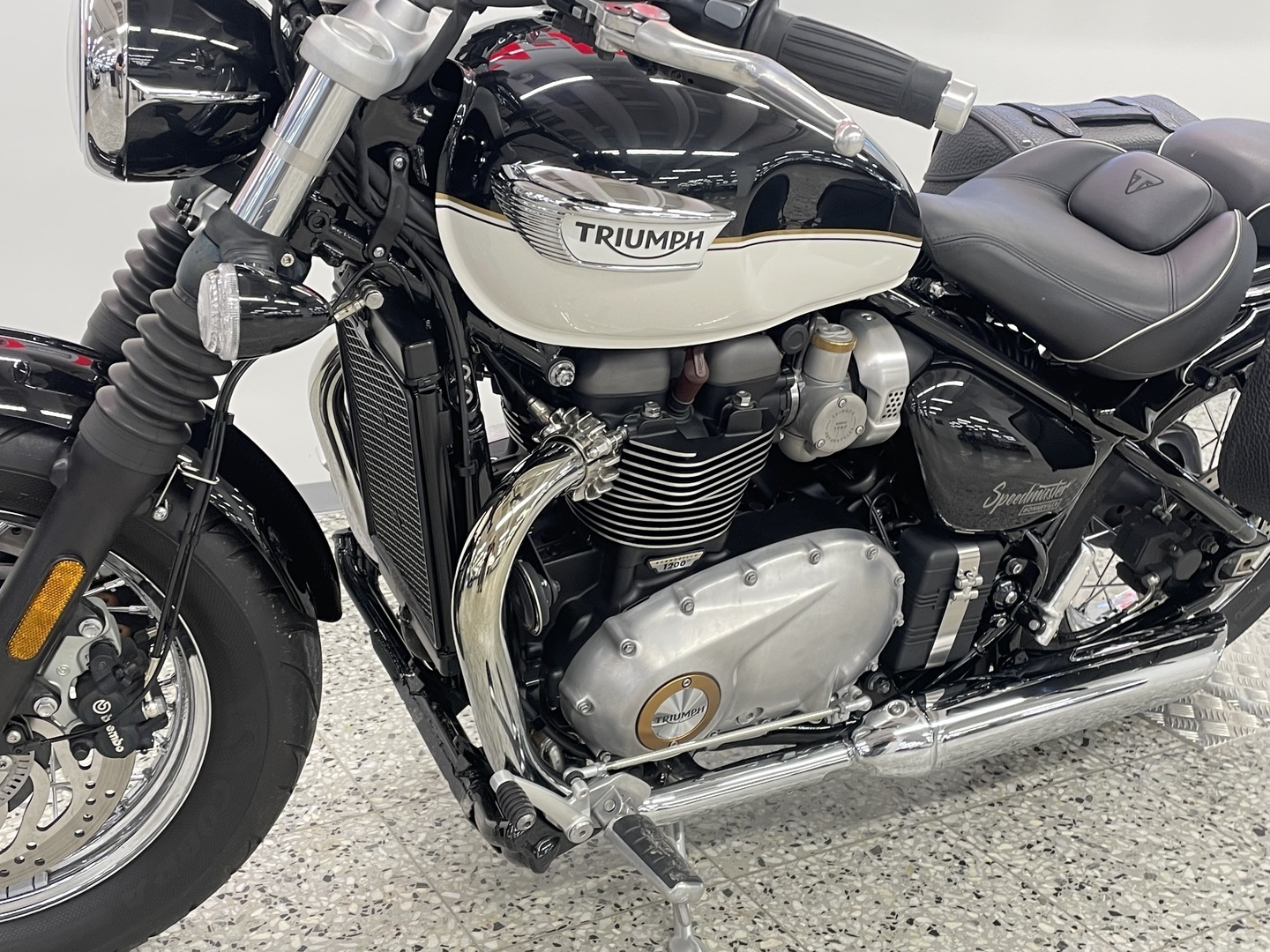 TRIUMPH SPEEDMASTER 2022