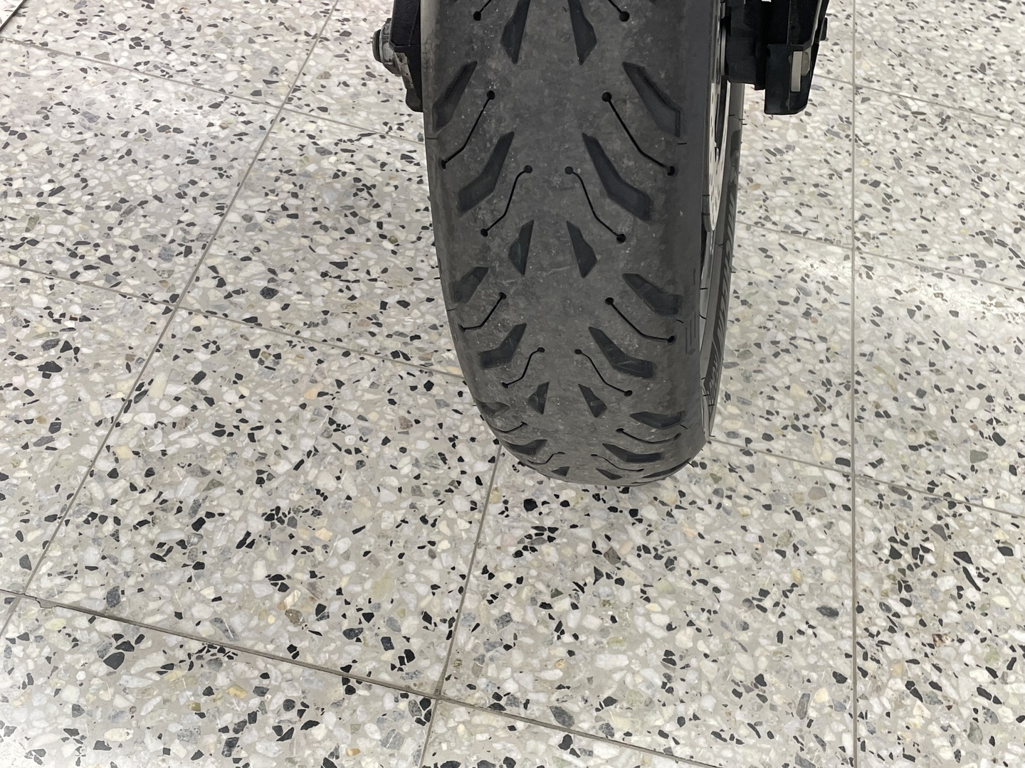 SUZUKI DL 2014