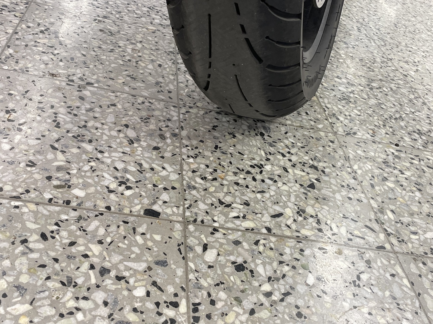 HONDA REBEL 2023