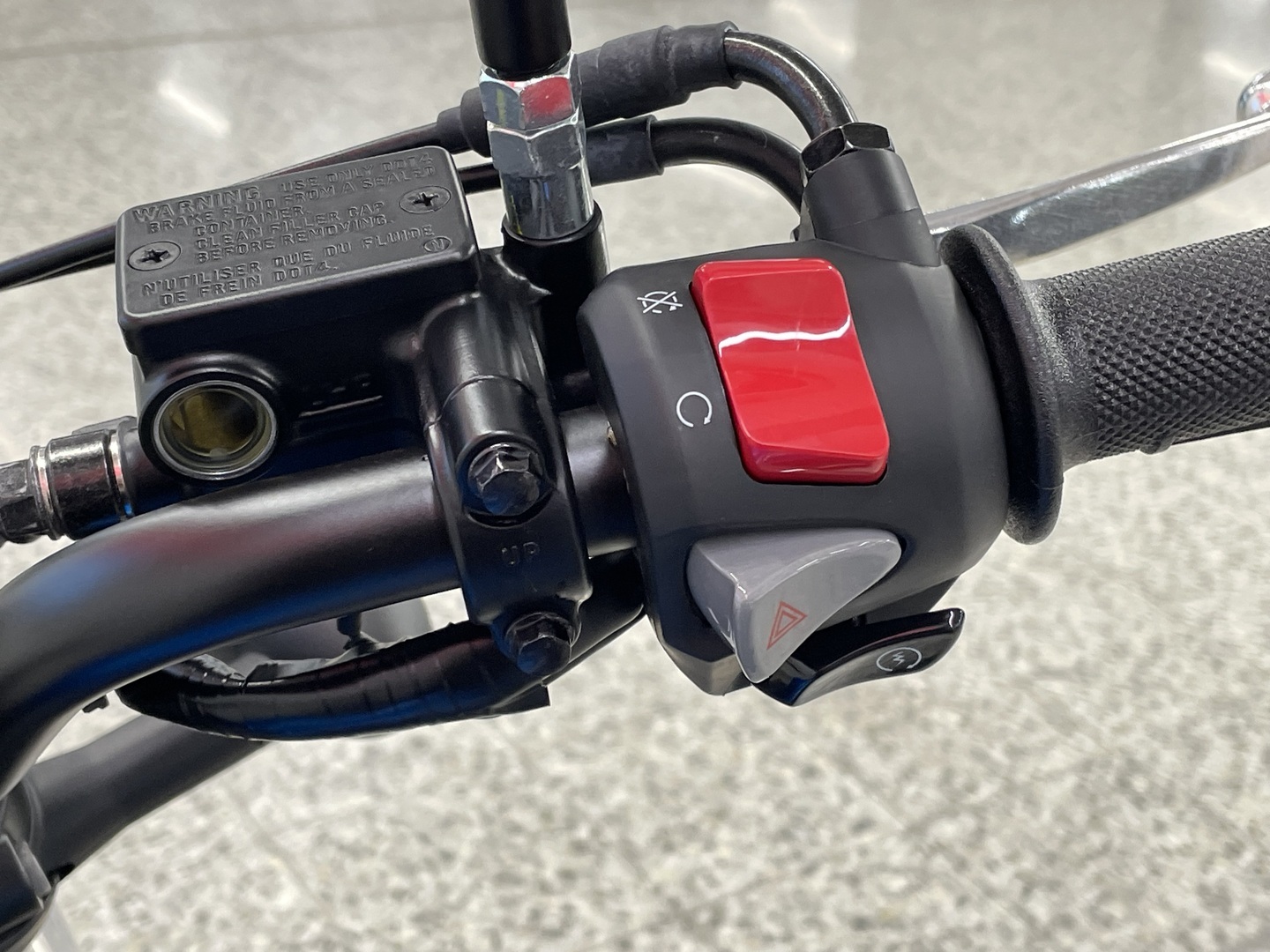 HONDA CL 2023