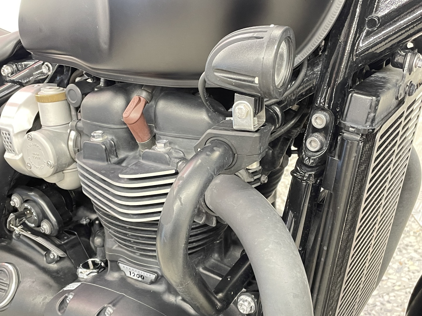 TRIUMPH BONNEVILLE 2019