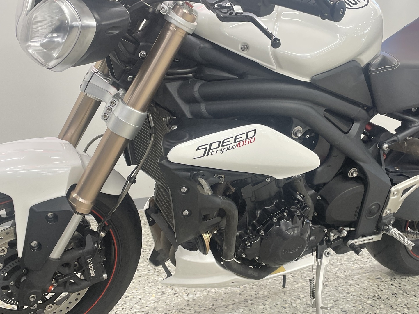TRIUMPH SPEED TRIPLE 2015