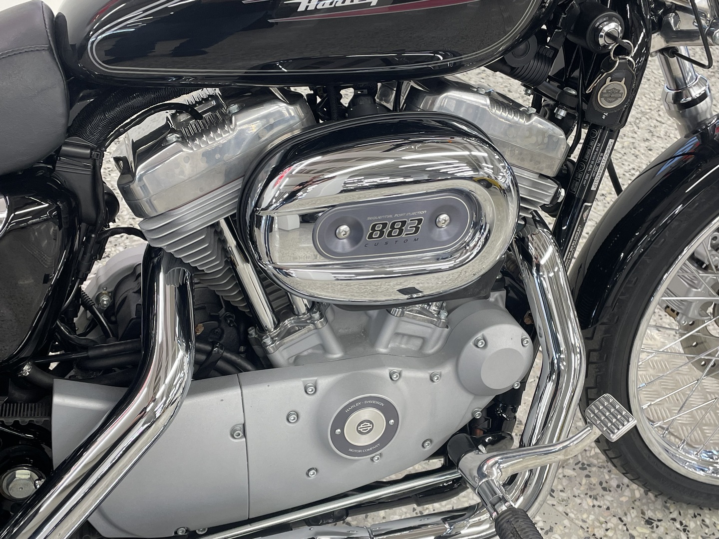 HARLEY-DAVIDSON Sportster 2008