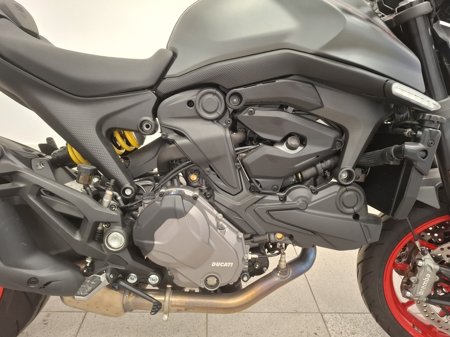 DUCATI Monster 2021
