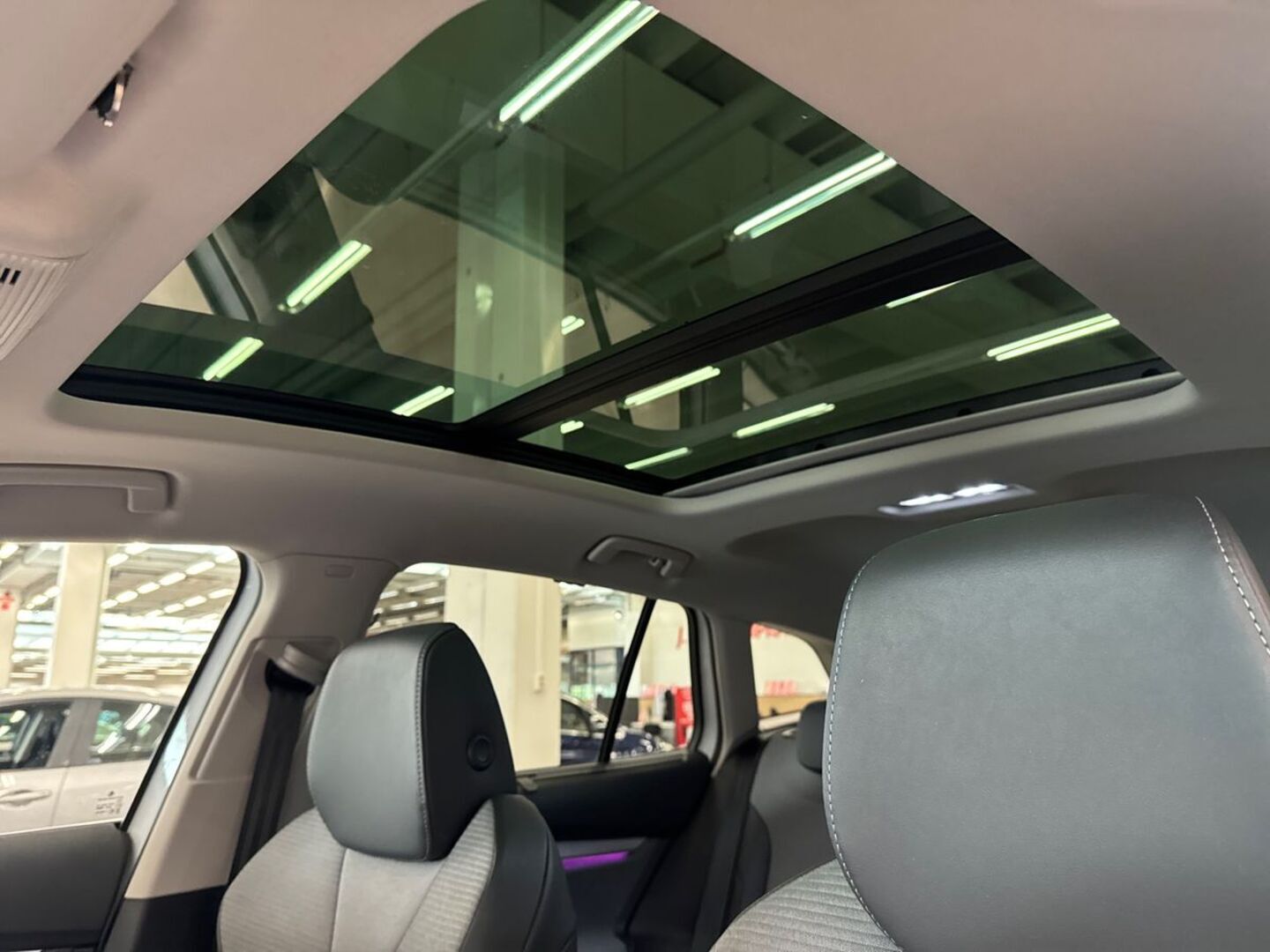 SKODA Enyaq 2021