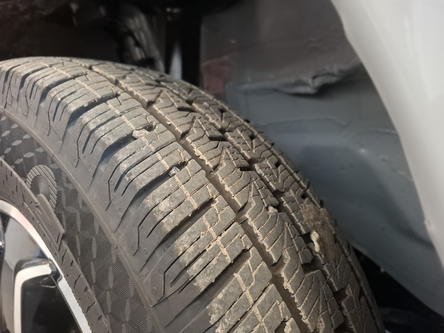 BÜRSTNER SIGNATURE SFT 7.5 2026