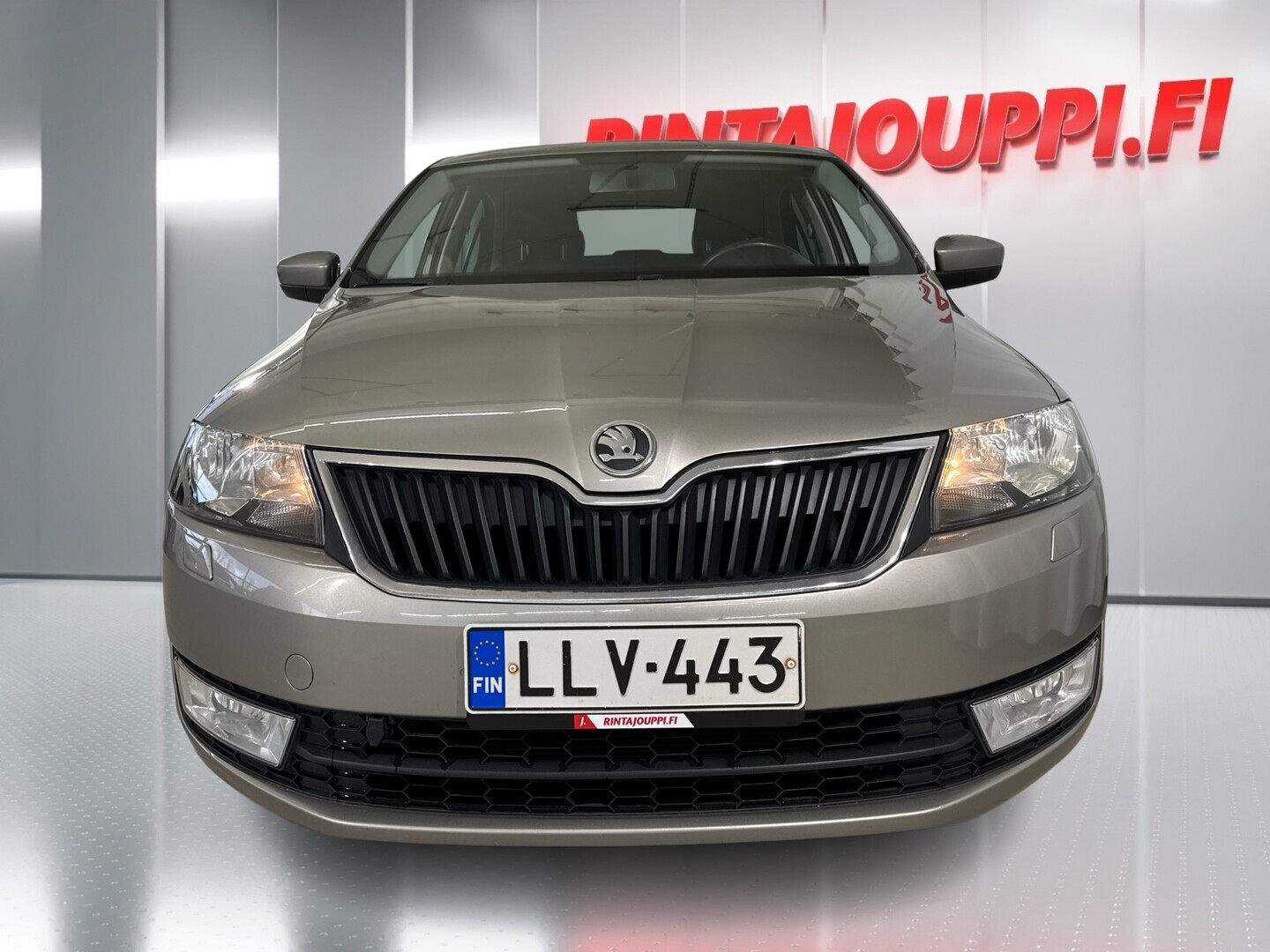 SKODA Rapid 2013