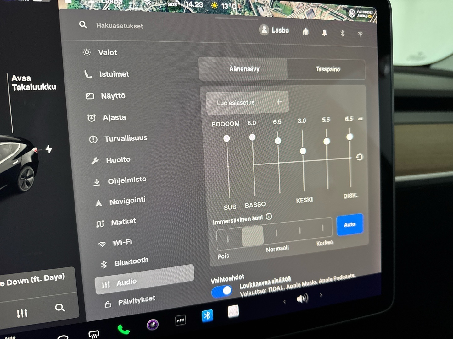 TESLA Model 3 2019