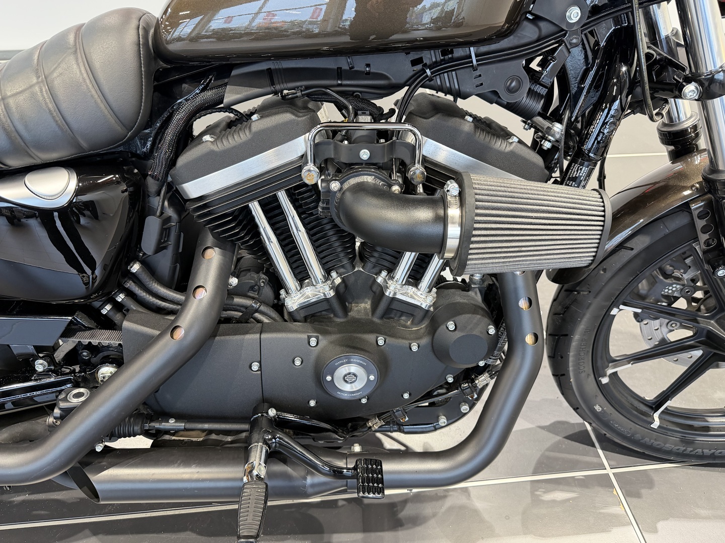 HARLEY-DAVIDSON SPORTSTER 2020