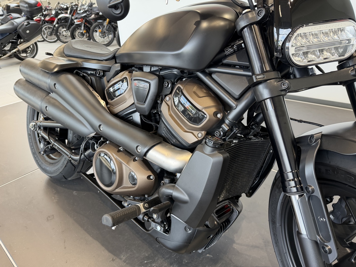 HARLEY-DAVIDSON SPORTSTER 2022