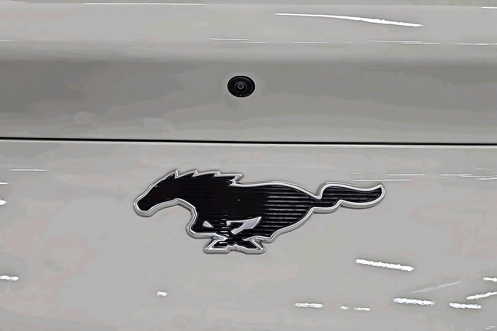 Ford Mustang Mach-E 13