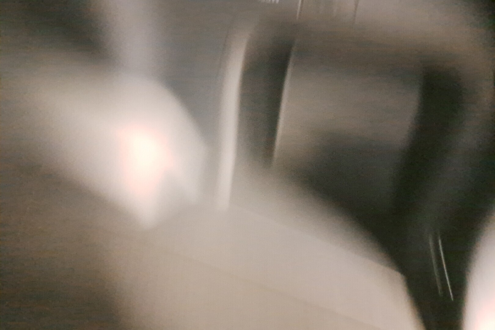 TOYOTA RAV4 Plug-in 2025