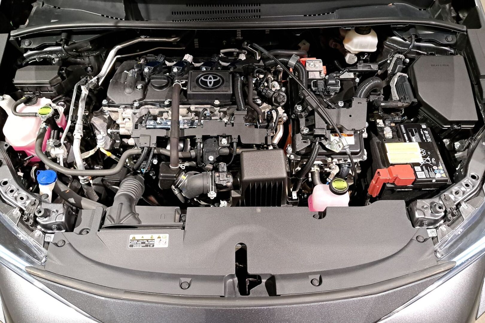 TOYOTA Corolla 2025