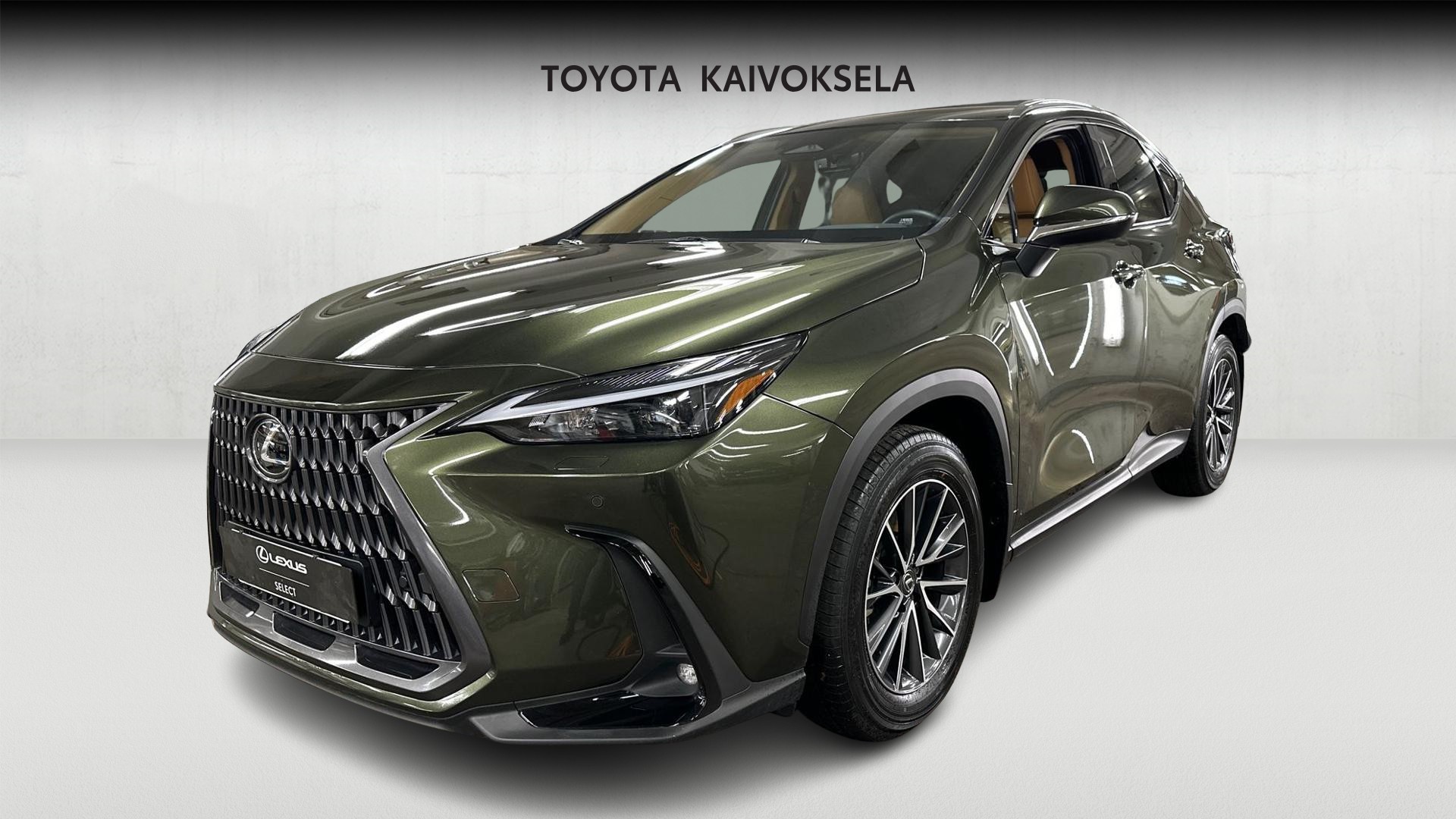 Lexus NX 1