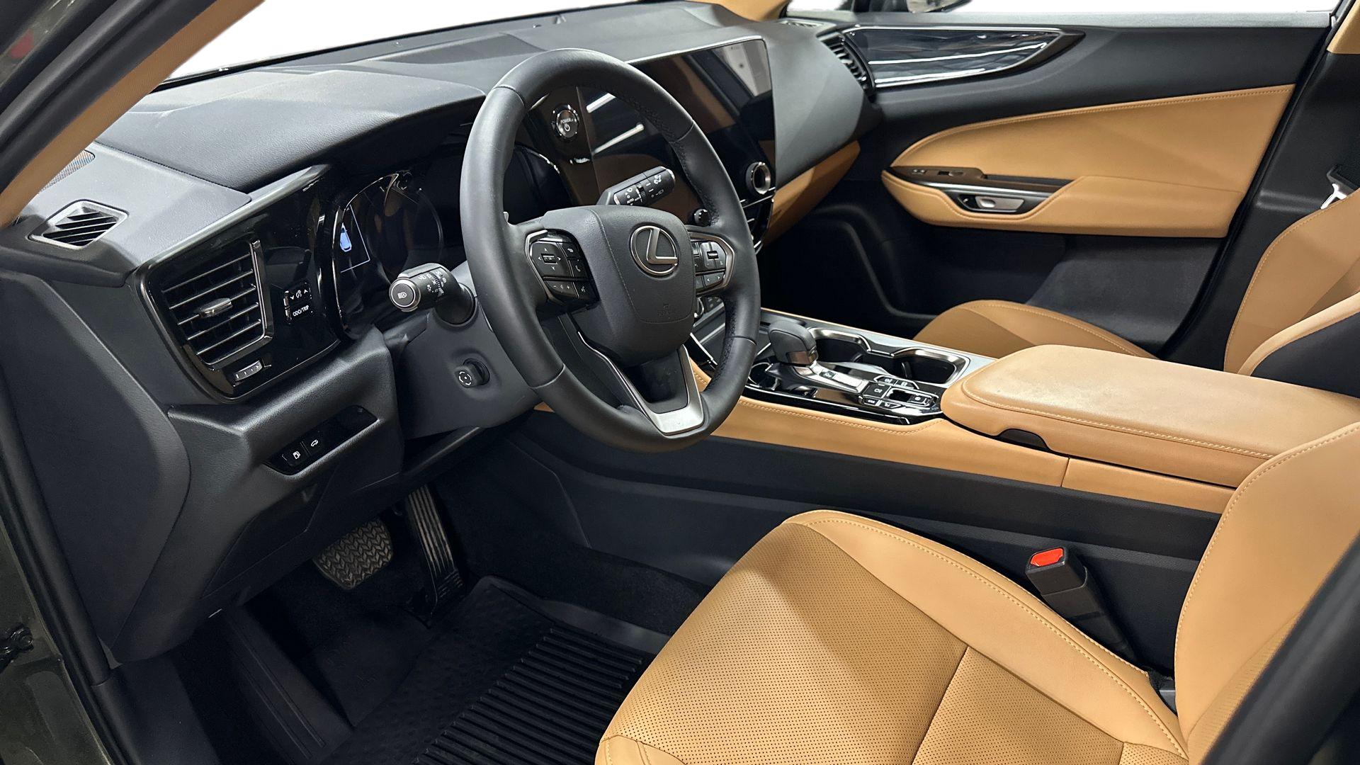 Lexus NX 10