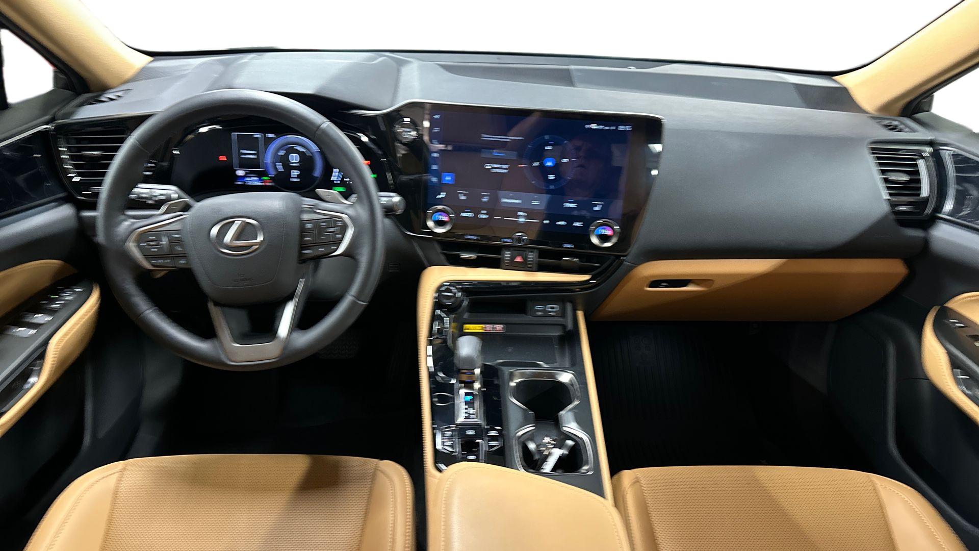 Lexus NX 12