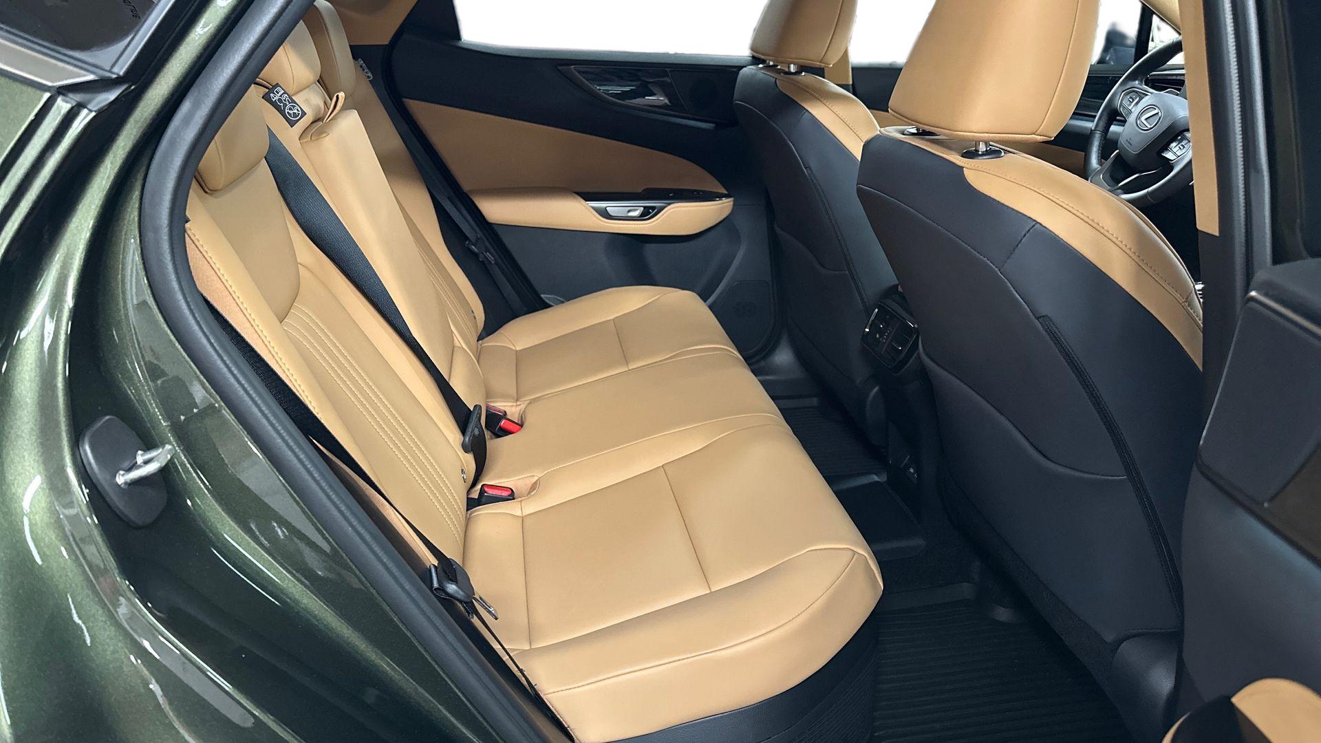 Lexus NX 18