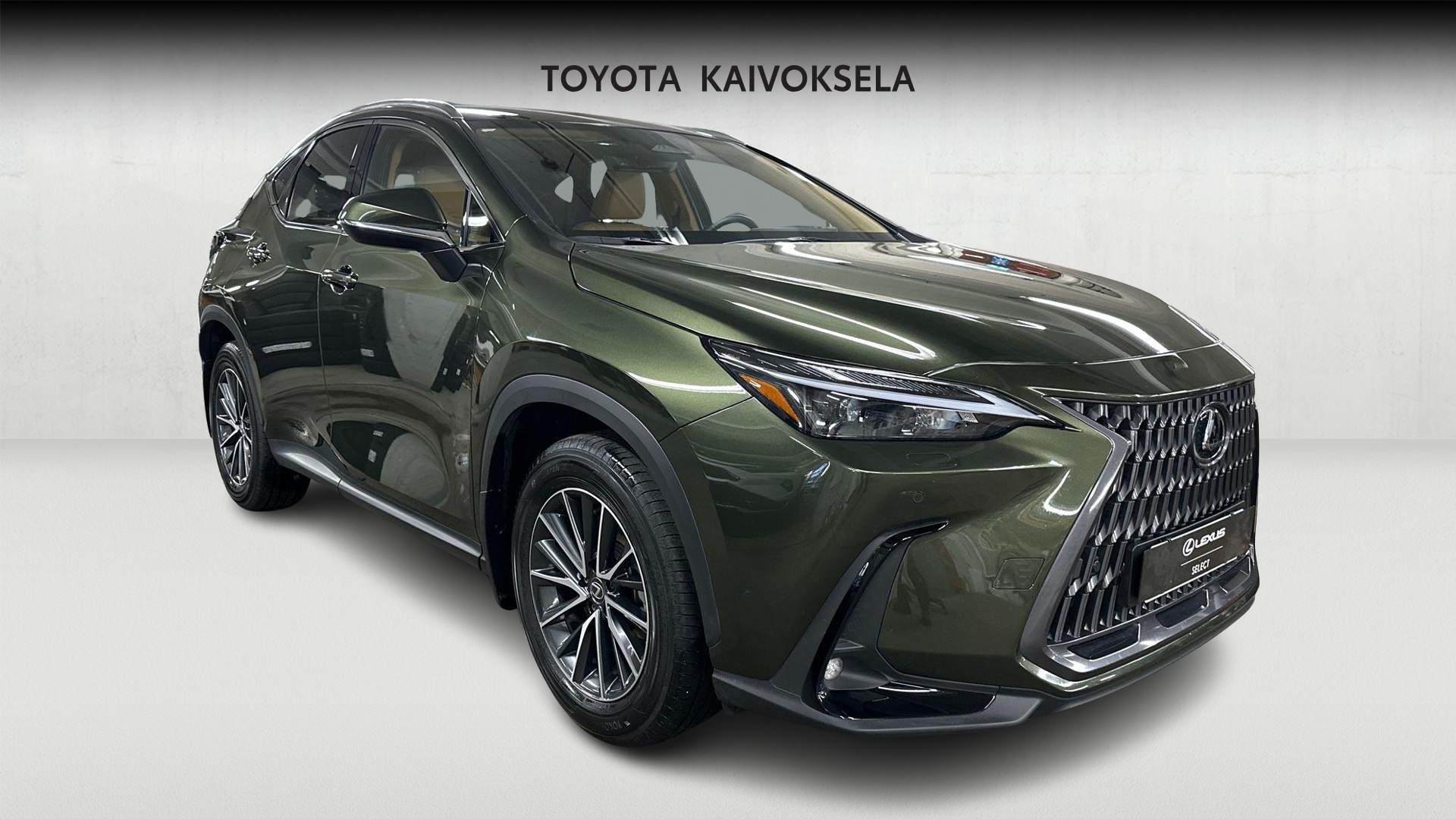 Lexus NX 8