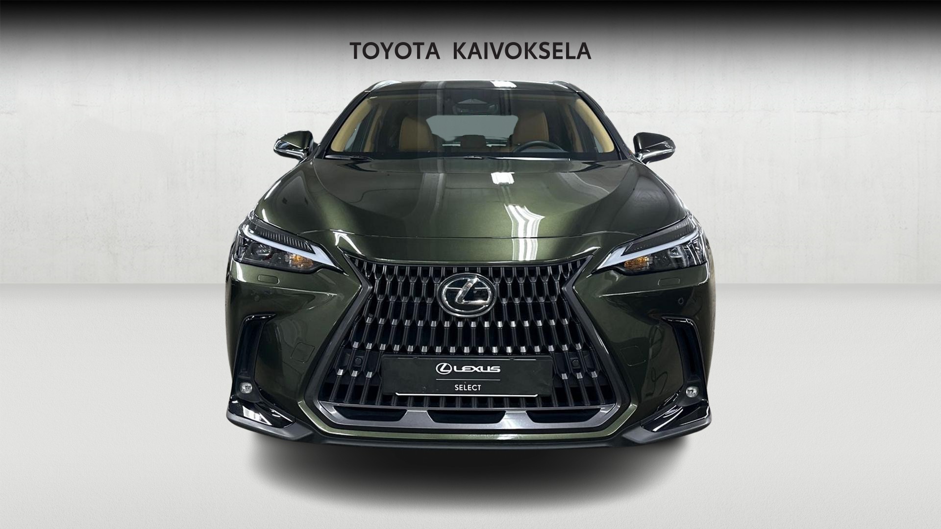 Lexus NX 9
