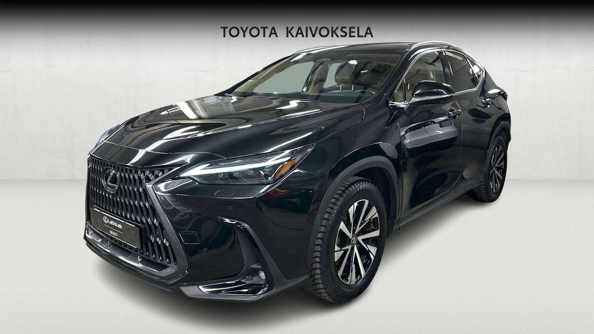 Lexus NX 2023