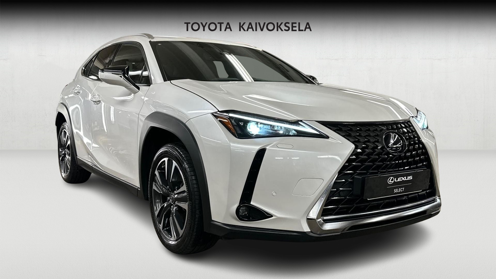 Lexus UX 8