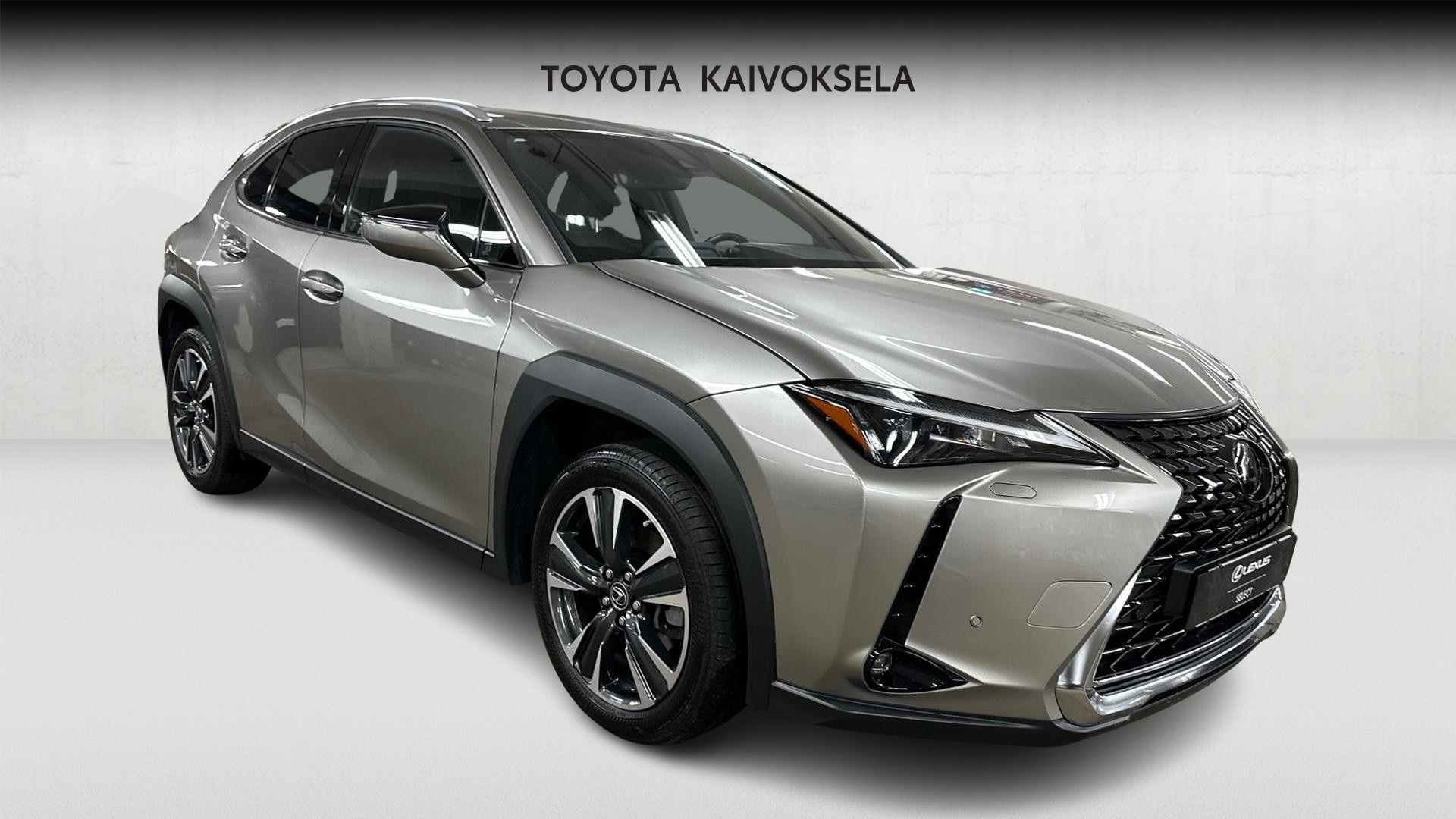 Lexus UX 8