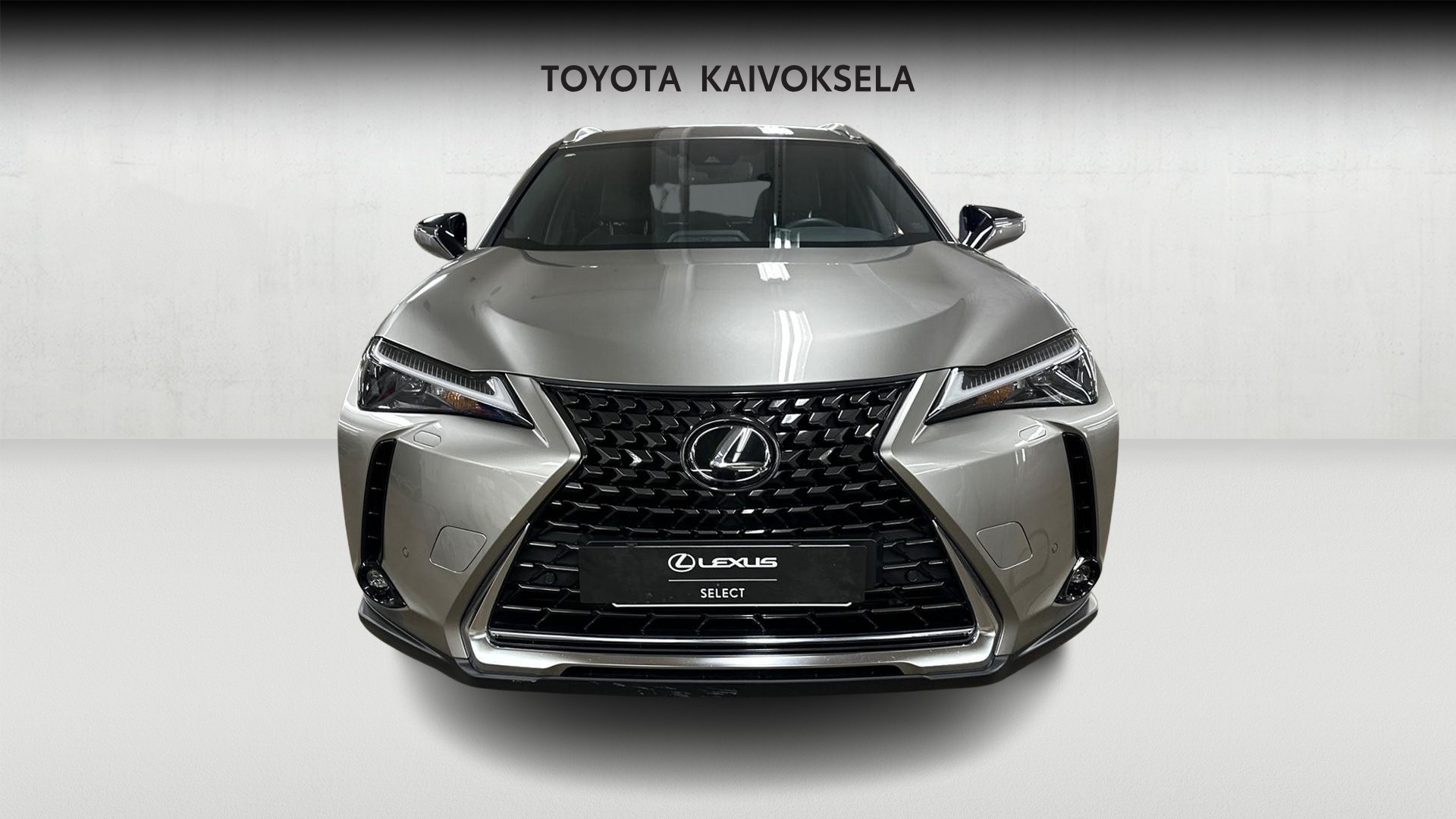 Lexus UX 9