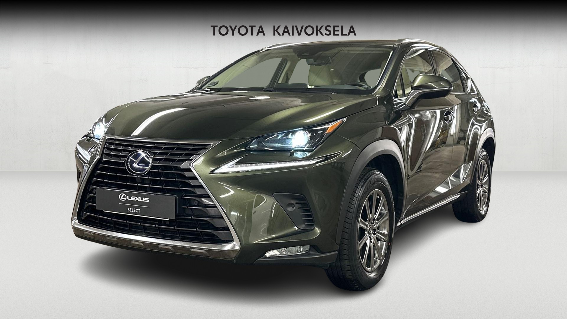 Lexus NX 1