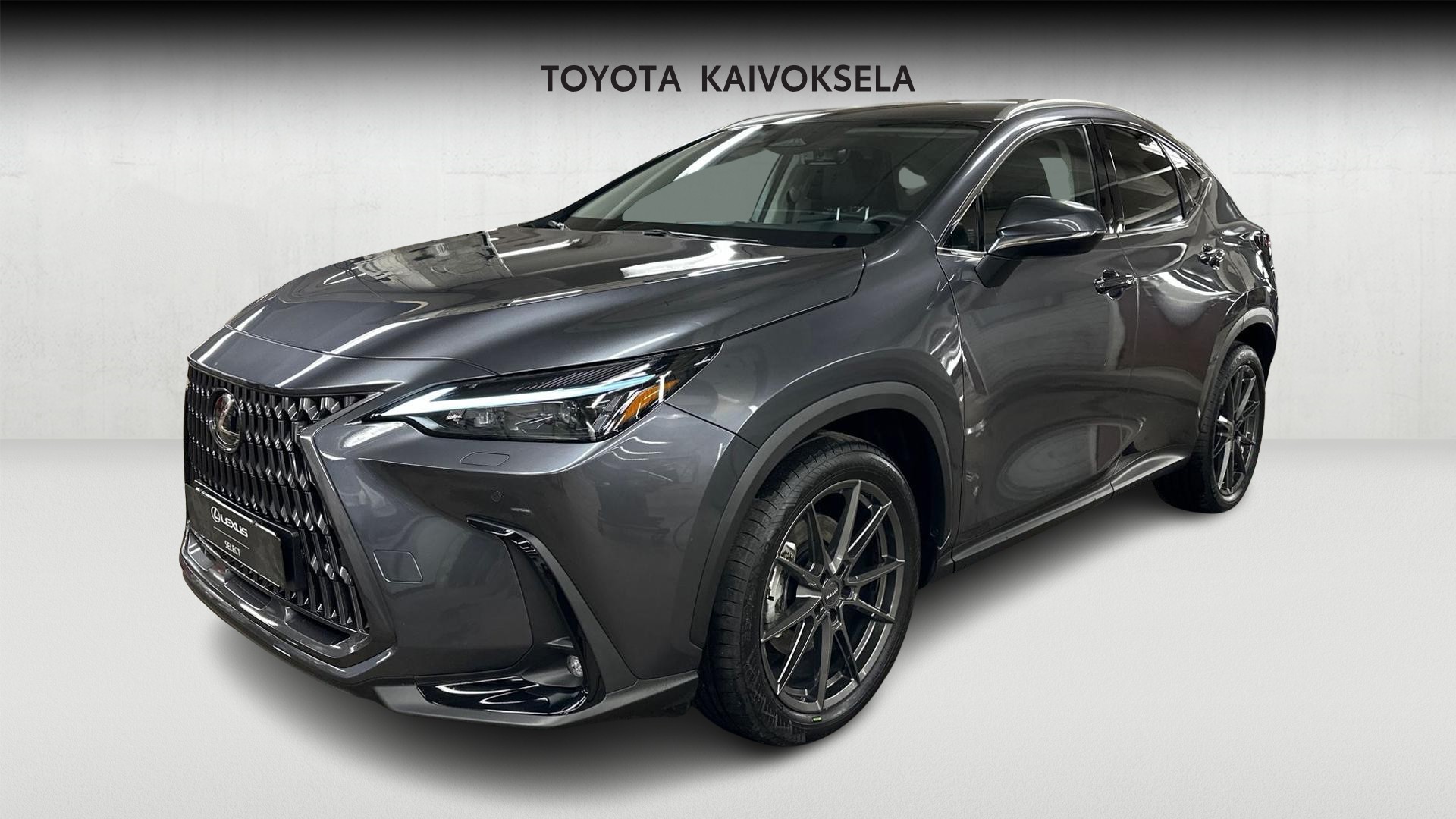 Lexus NX 1