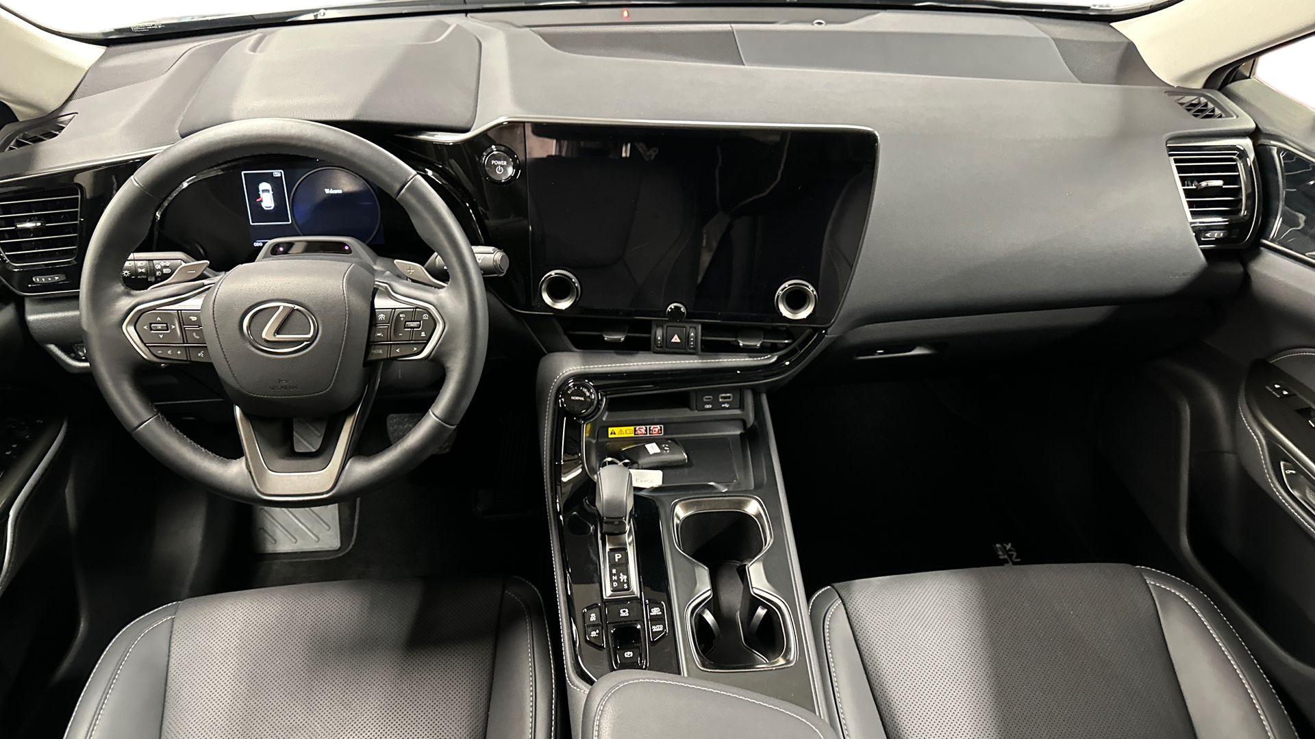 Lexus NX 12