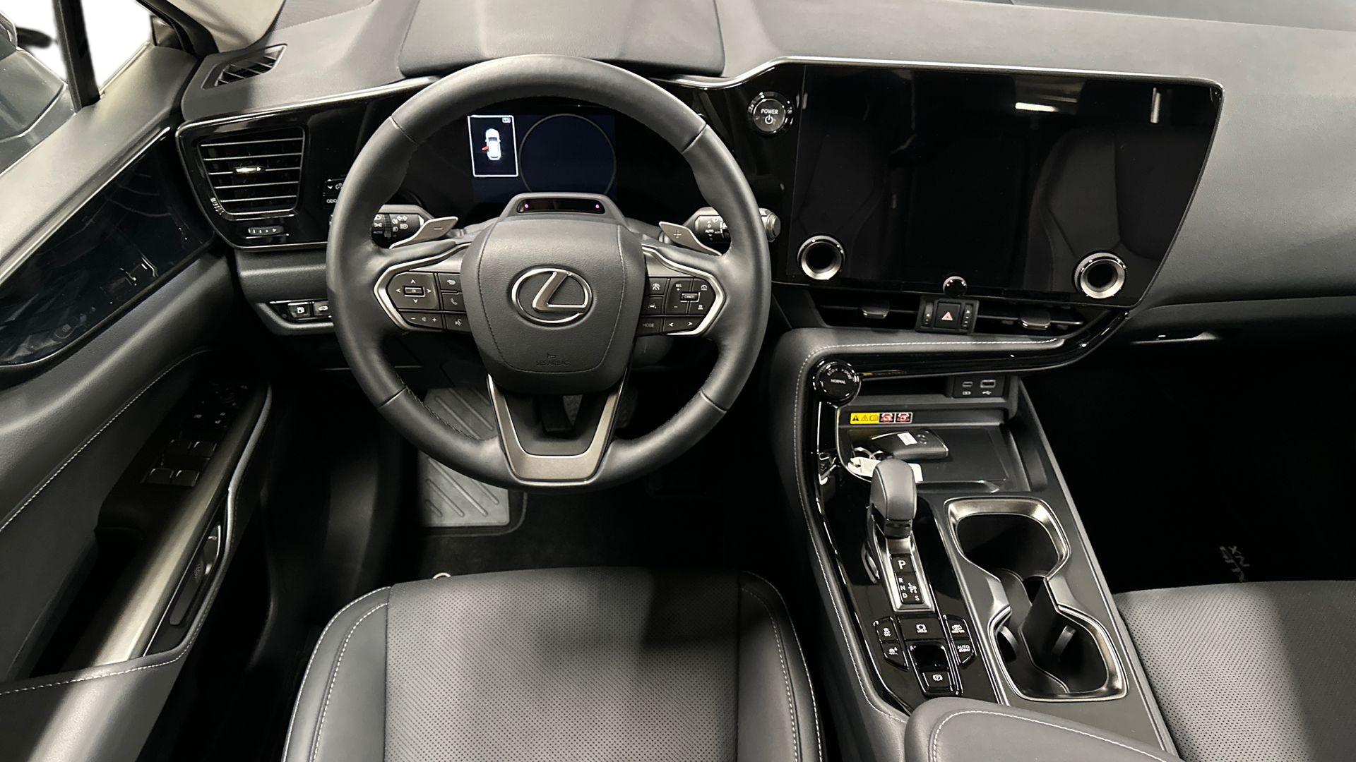 Lexus NX 13