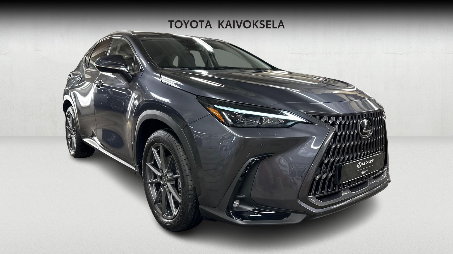Lexus NX 8