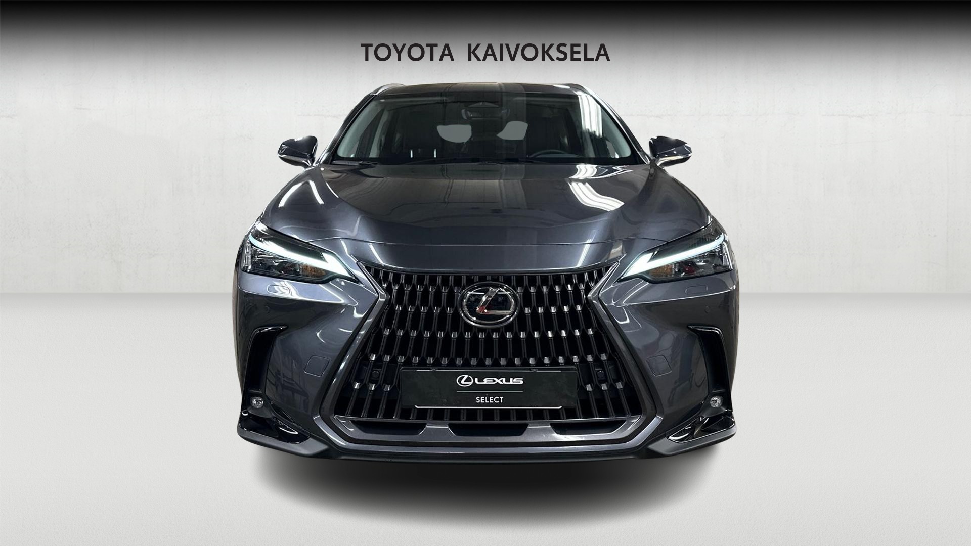 Lexus NX 9