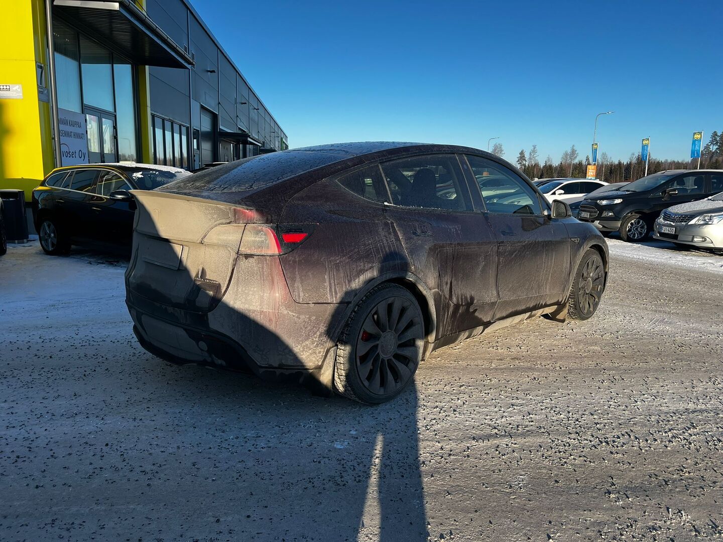 TESLA Model Y 2023