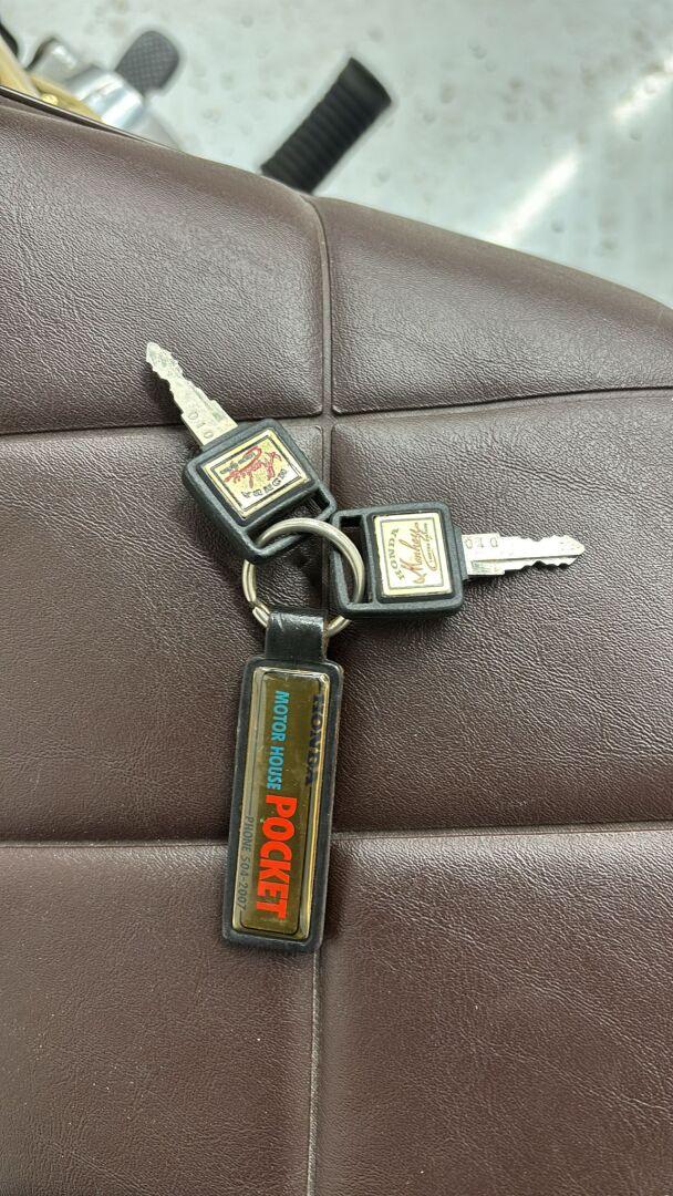 HONDA Monkey 1984