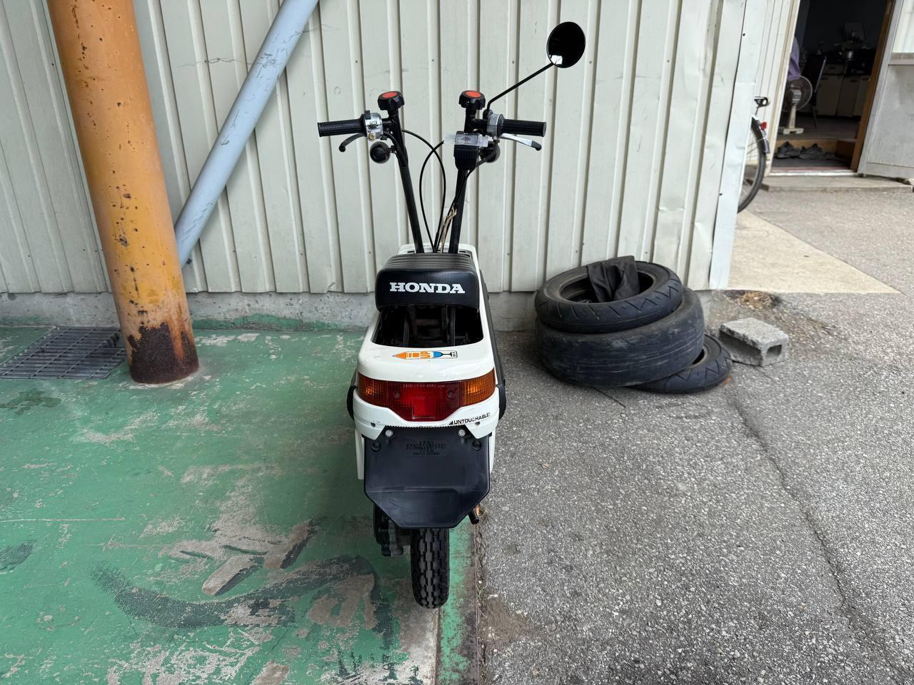 HONDA Monkey 1984