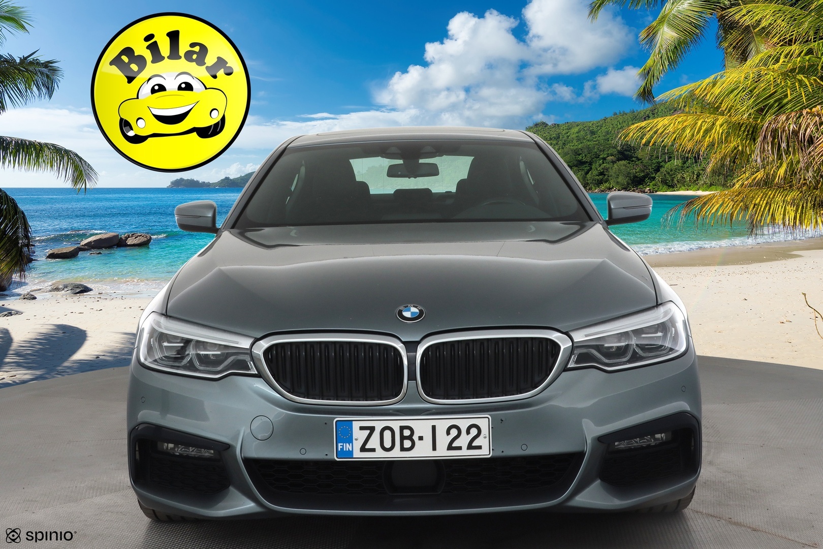 BMW 530 2019