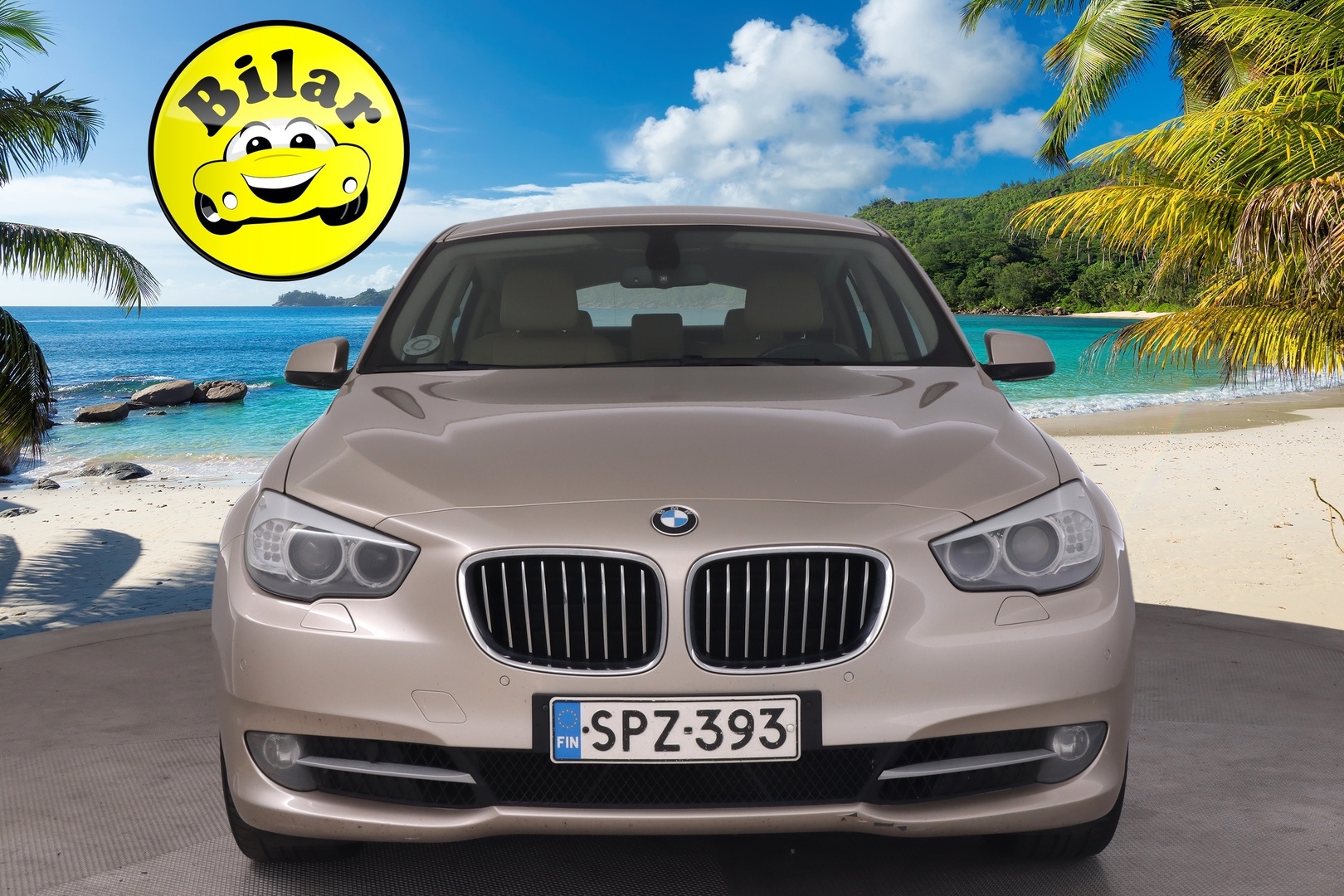 BMW 530 2010