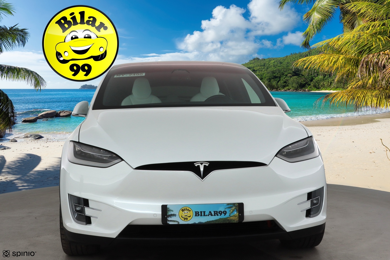 TESLA MODEL X 2019