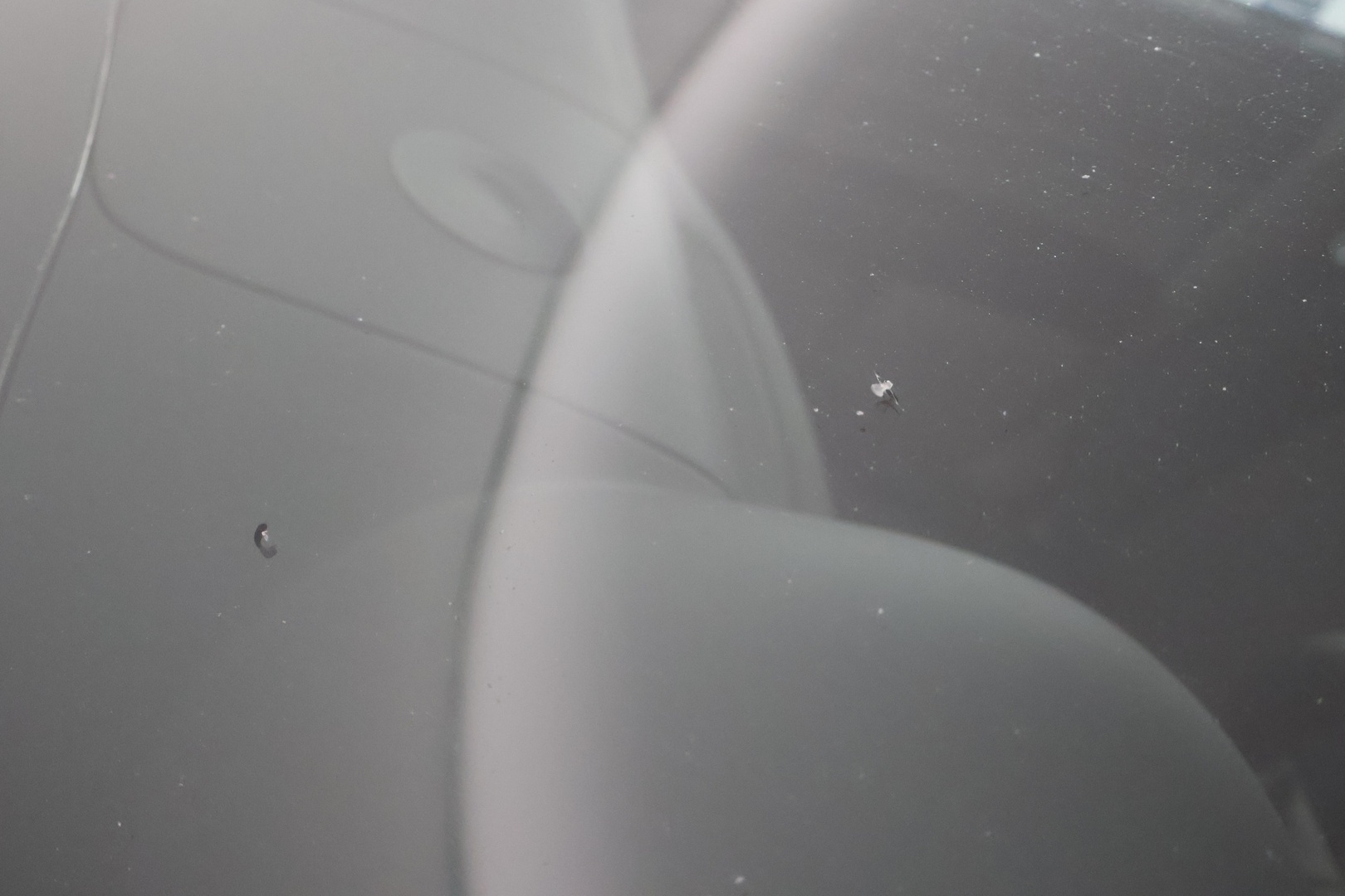 SUBARU Forester 2006