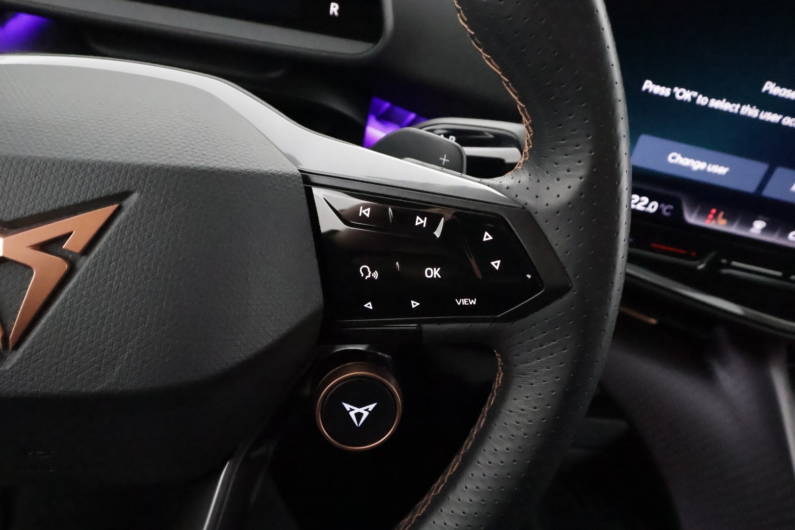 CUPRA TAVASCAN 2024