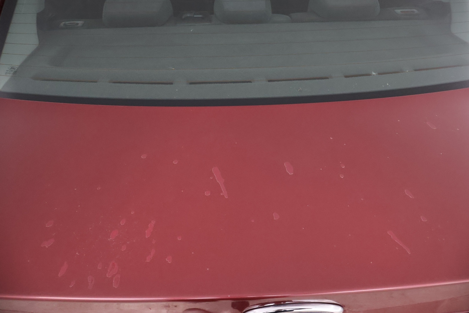 FORD Focus 2005