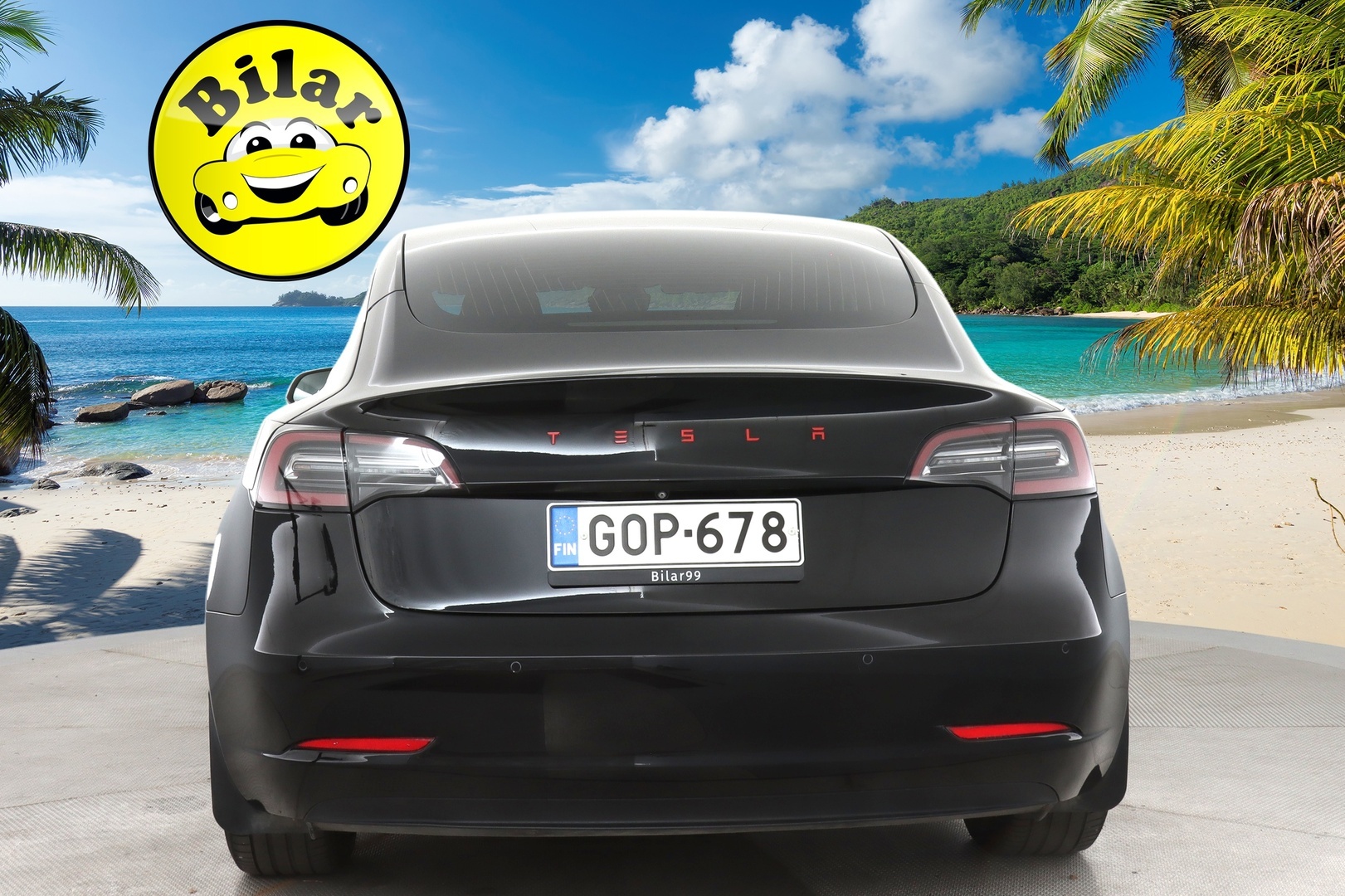 TESLA Model 3 2019