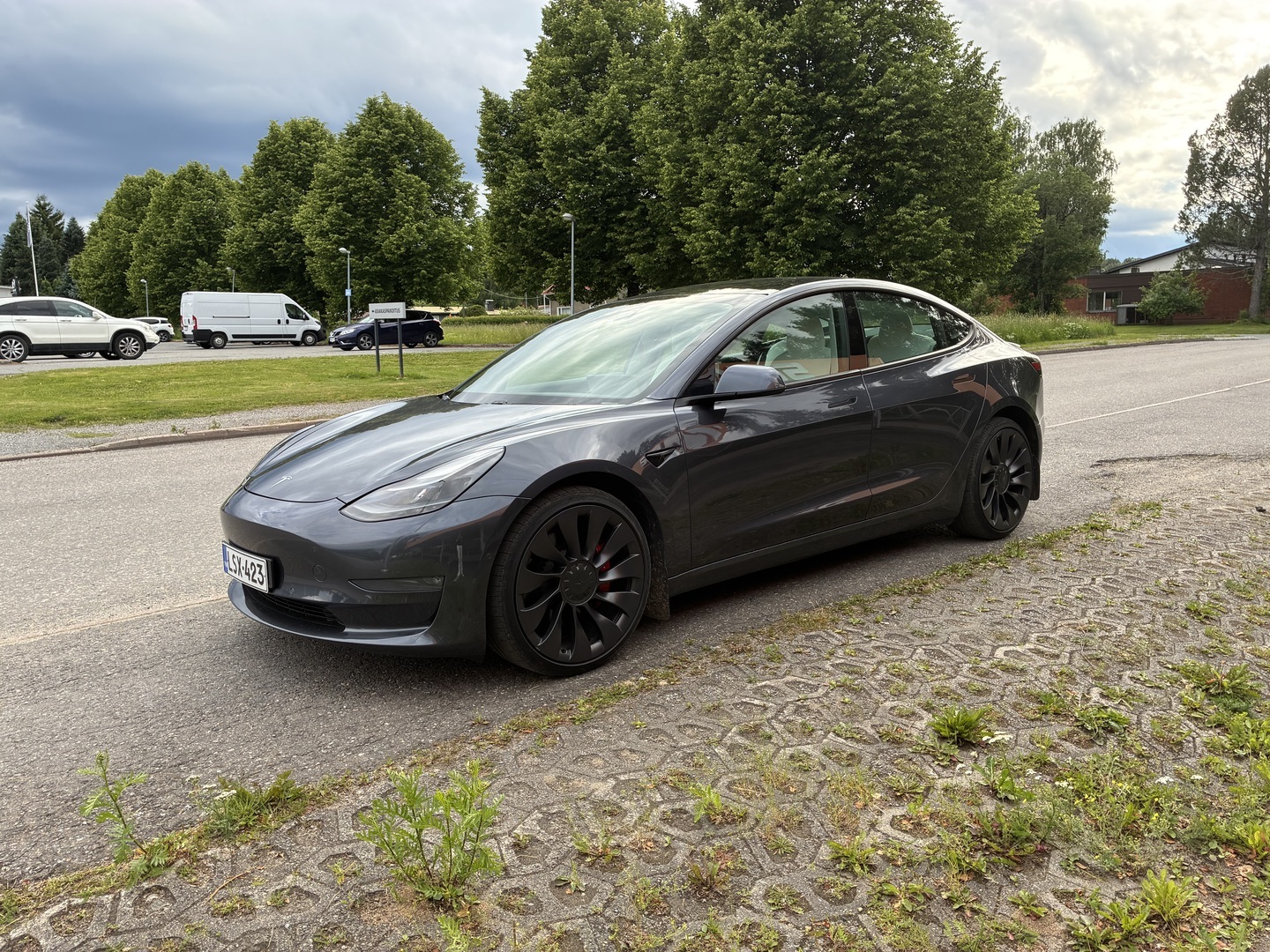 TESLA Model 3 2021