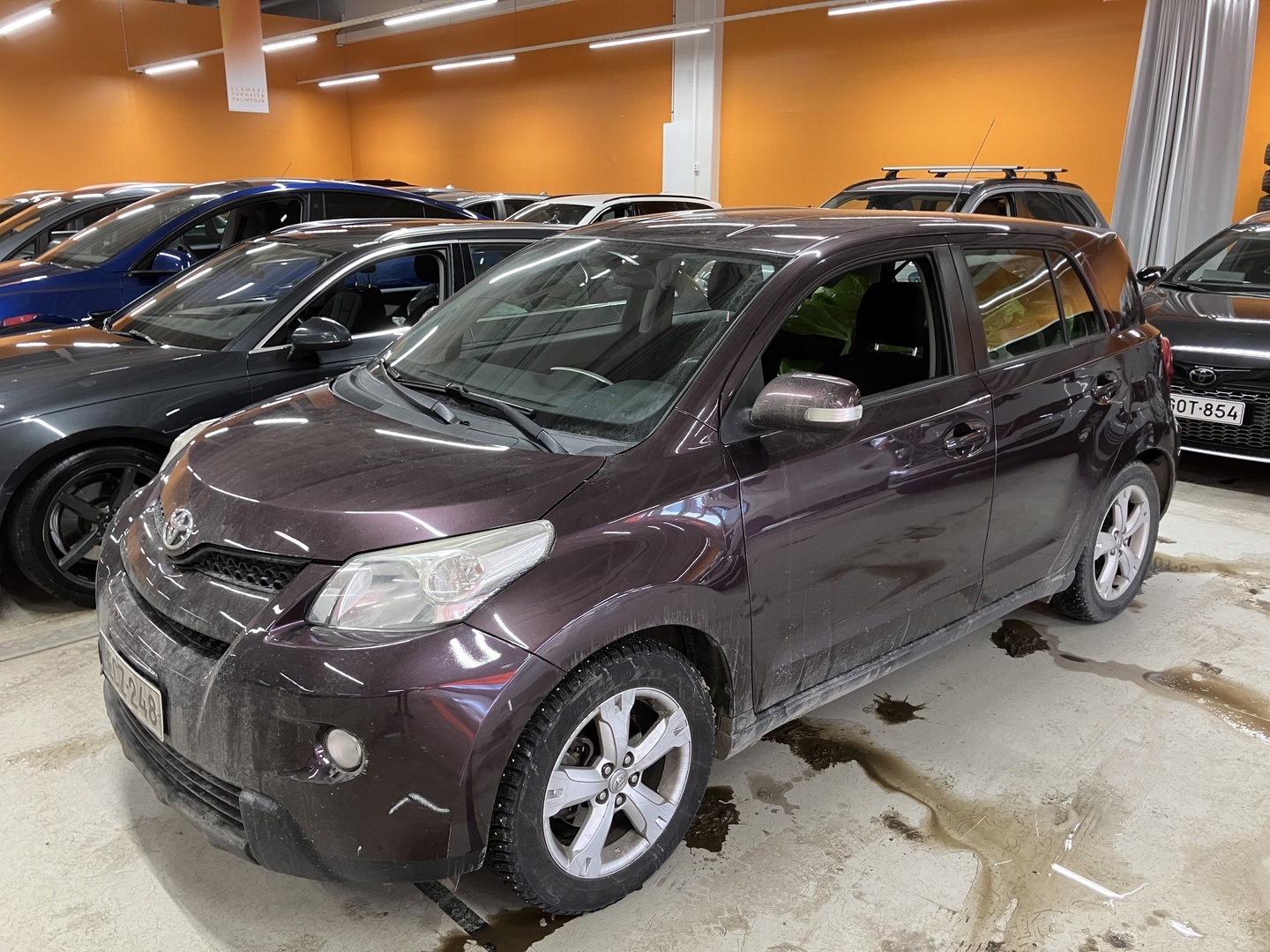 TOYOTA Urban Cruiser 2009