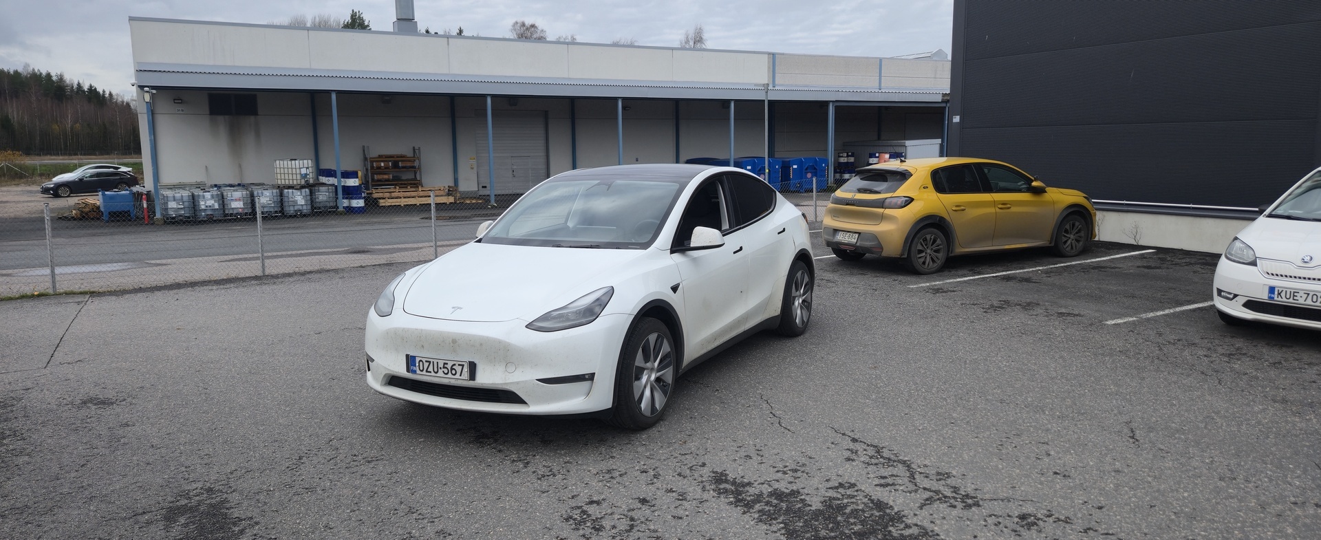 TESLA Model Y 2023