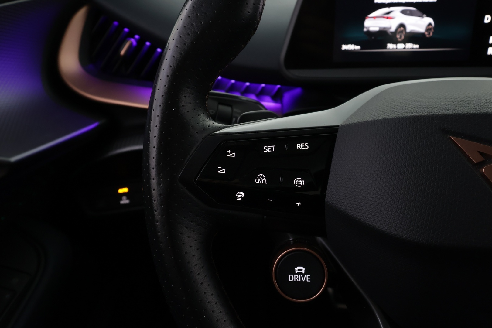 CUPRA Tavascan 2024