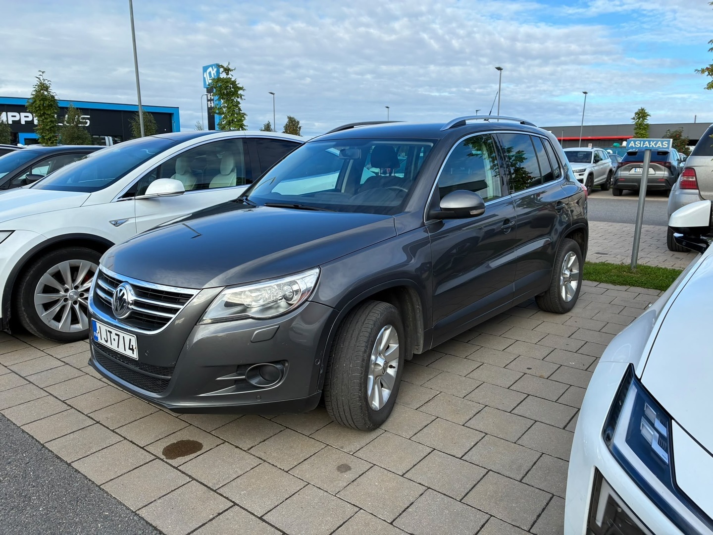 VOLKSWAGEN Tiguan 2011