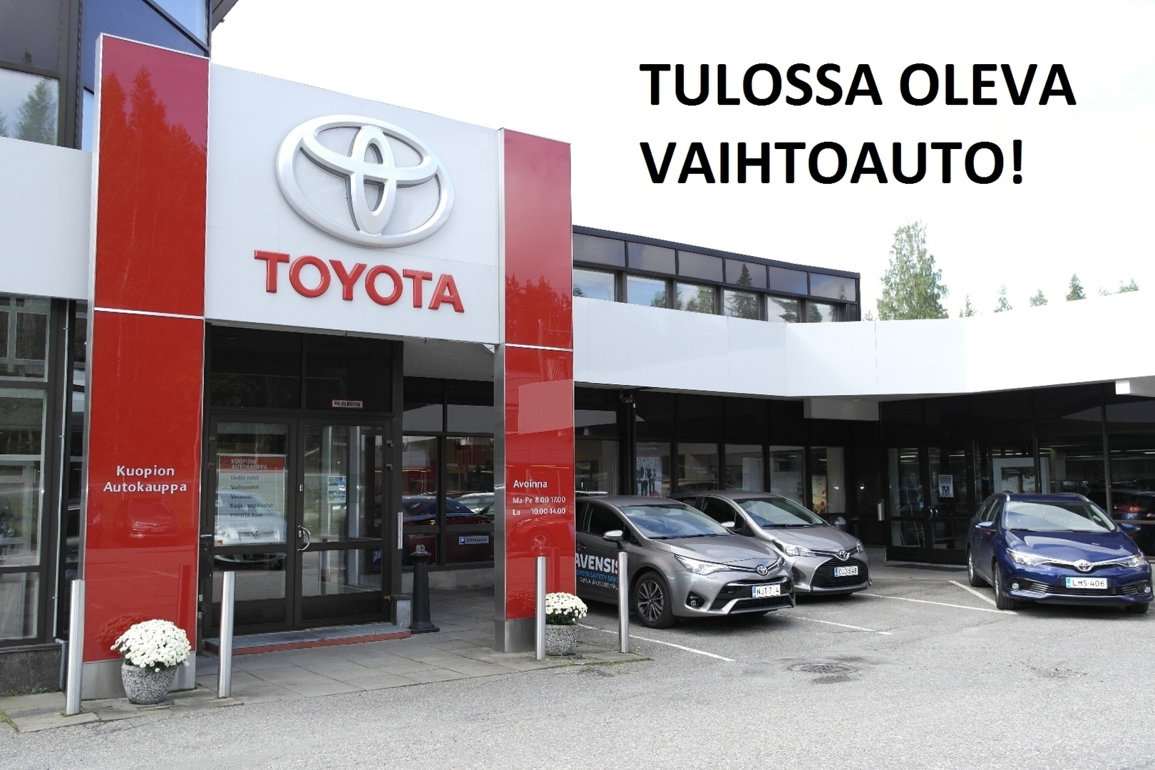 TOYOTA Urban Cruiser 2009